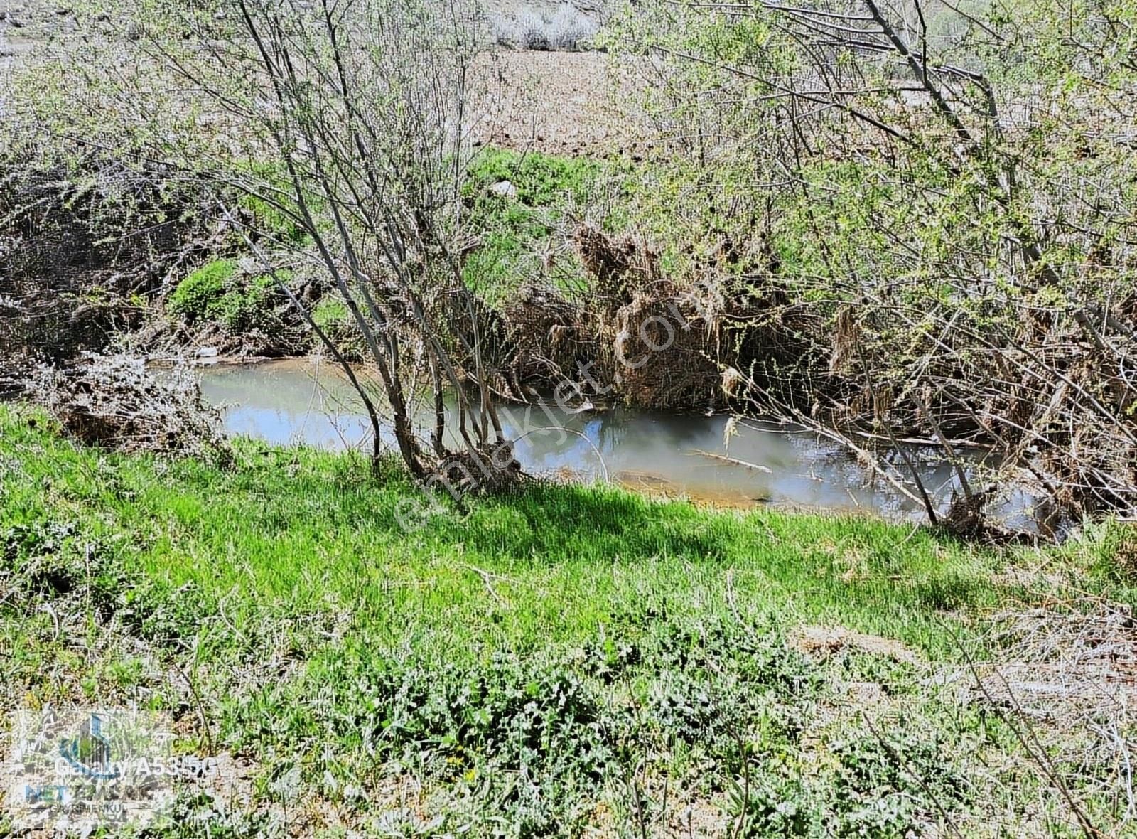 Yozgat Merkez Osmanpaşa Köyü (Cami) Satılık Tarla YOZGAT OSMANPAŞA KÖYÜ KAYSERI ANA YOLUNA SIFIR SATILIK TARLA