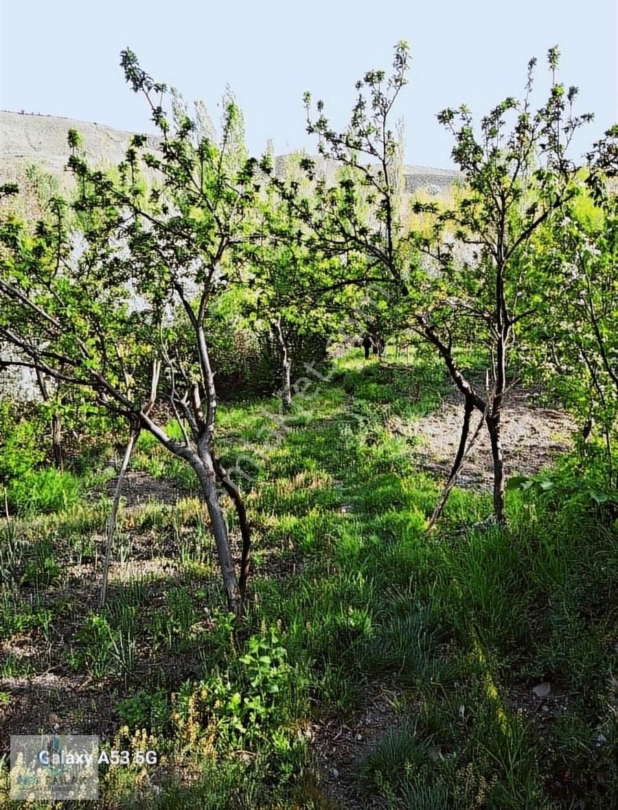 Yozgat Merkez Topaç Köyü Satılık Konut İmarlı YOZGAT MERKEZ TOPAÇ KÖYÜ SATILIK BAHÇE