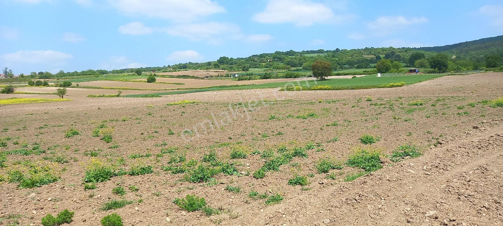 Roma' Dan Süpürtü Mah. Yatırımlık Fırsat Tarla - Görsel 12
