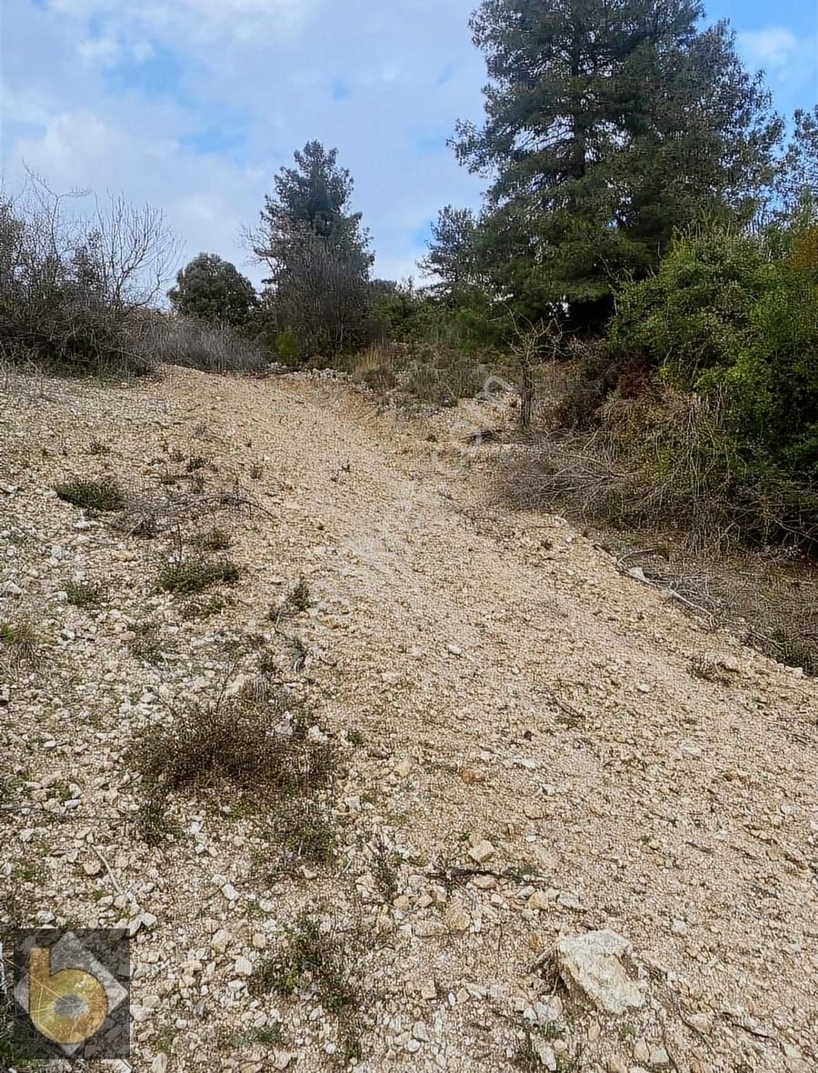 Seydikemer Yakaköy Satılık Tarla Muğla Seydikemer Yakada satılık tarla