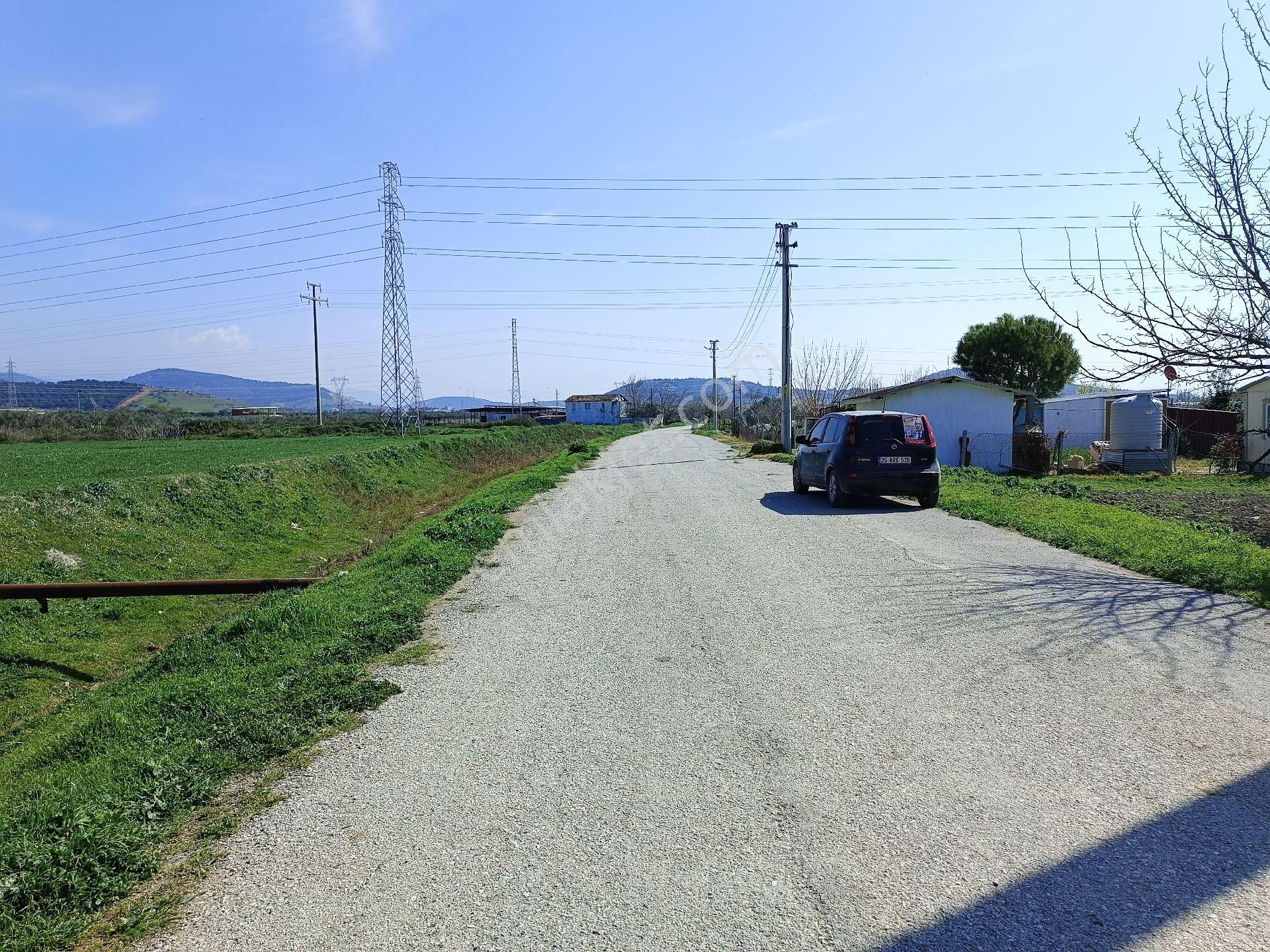 Torbalı Aslanlarda Satılık Tek Tapu Tarla