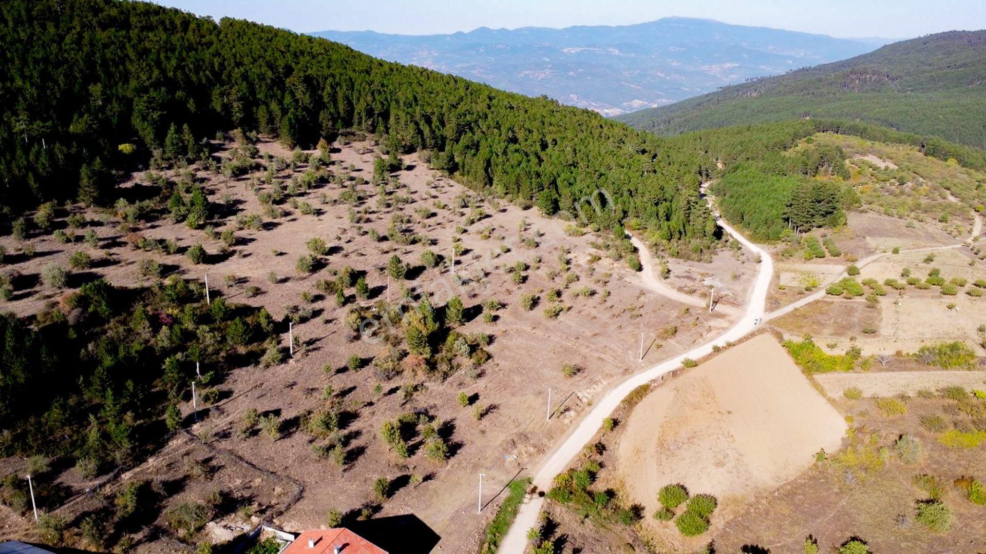 Demirci Bardakçı Satılık Konut İmarlı  MANİSA DEMİRCİ BARDAKÇI MAHALLESİNDE SATILIK İMARLI ARSA