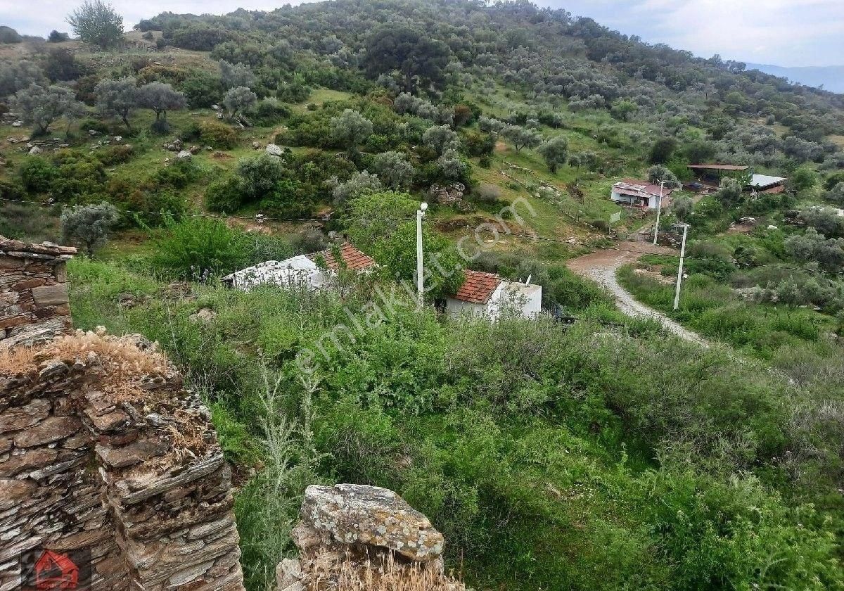 Koçarlı Karadut Satılık Konut İmarlı AYDIN KOÇARLI KARADUT MAHALLESİNDE 2 AYRI MÜSTAKİL TAPULU SATILIK KUPON ARSALAR