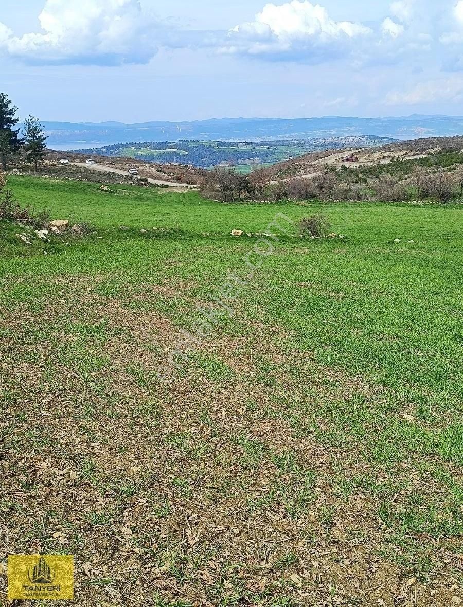 Çanakkale Merkez Kızılkeçili Köyü Satılık Tarla ÇANAKKALE MERKEZ KIZILKEÇİLİ KÖYÜ SATILIK KÖYE YAKIN TARLA