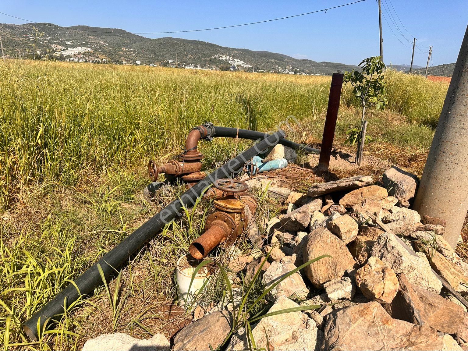 Milas Dörttepe Satılık Tarla  HERA KARYA GAYRİMENKUL'DEN DÖRTTEPE'DE  SATILIK TARLA