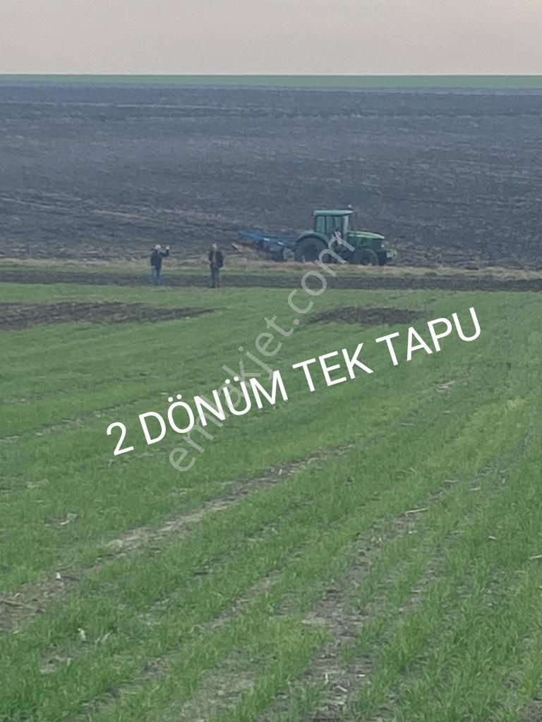 Ergene Vakıflar Satılık Tarla Tekirdağ Ergene Vakıflarda Satılık 2 Dönüm Tek Tapu Tarla