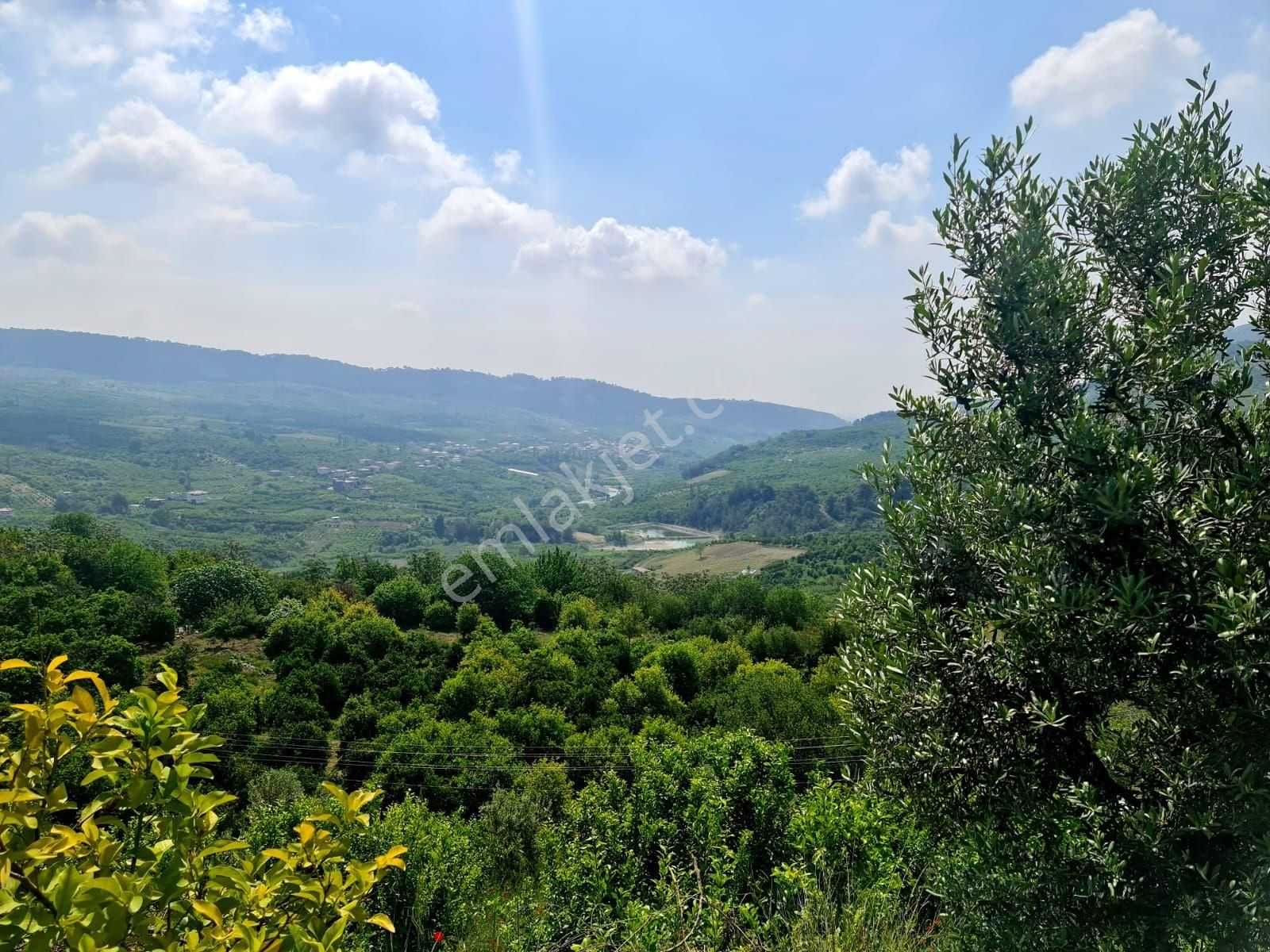 Yenişehir Turunçlu Satılık Tarla Yenişehir Turnçlu Köyü Mersin Ve Gölet Manzaralı 3250m2 Yola Sfr Elktrk Su Icnde Ev Yaplabilir Arazi