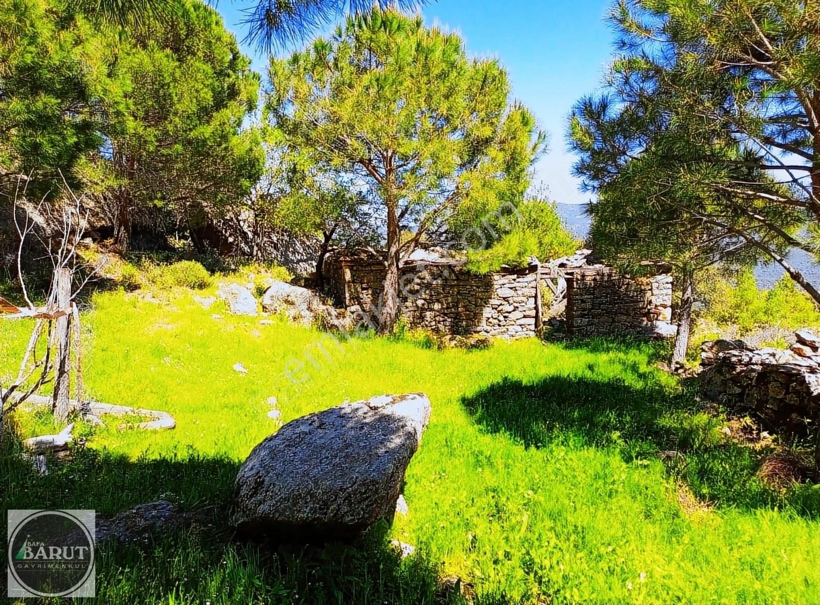 Milas Çukur Satılık Bağ & Bahçe MİLAS ÇUKUR KÖYDE İÇERİSİNDE TAŞ EV OLAN BAHÇE ACİL SATILIK..