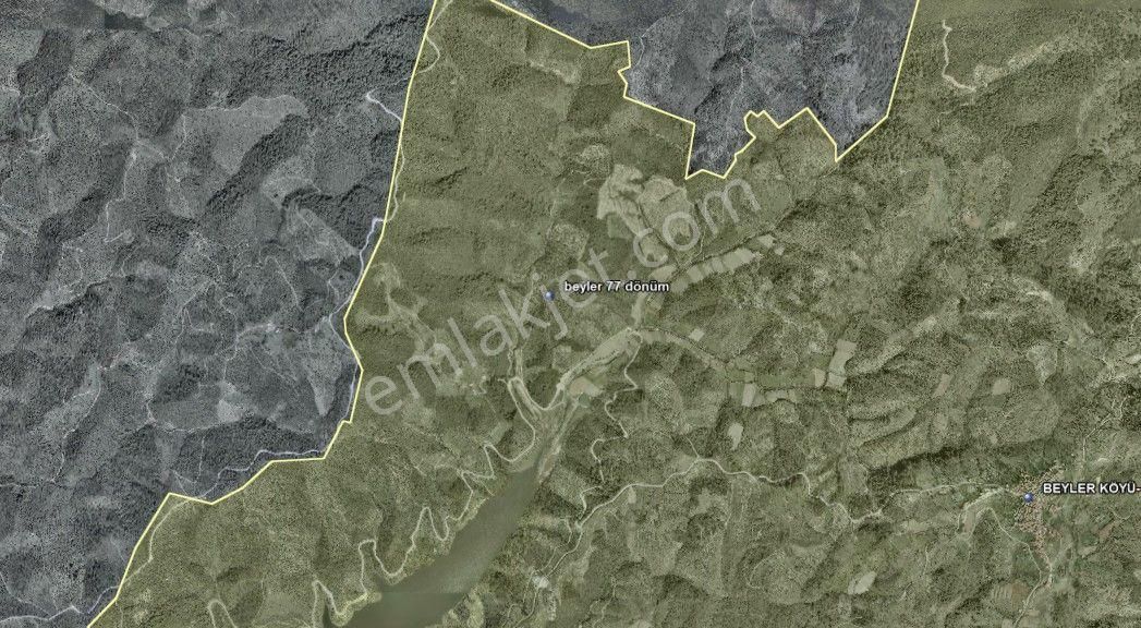 008-yağ Verimi Yüksek Zeytinlik - Görsel 14