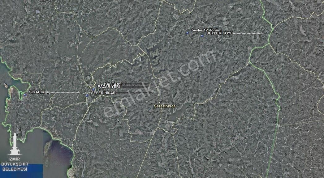 009-bakımlı Verimli Zeytinlik - Görsel 5