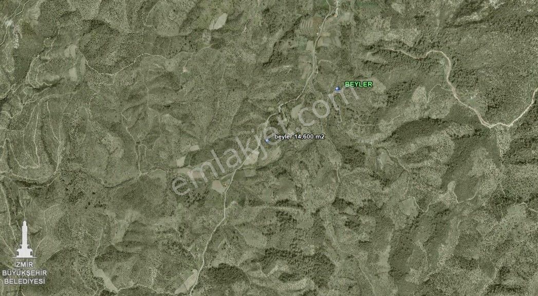 010-köy Metkezine Yakın Zeytinlik - Görsel 3