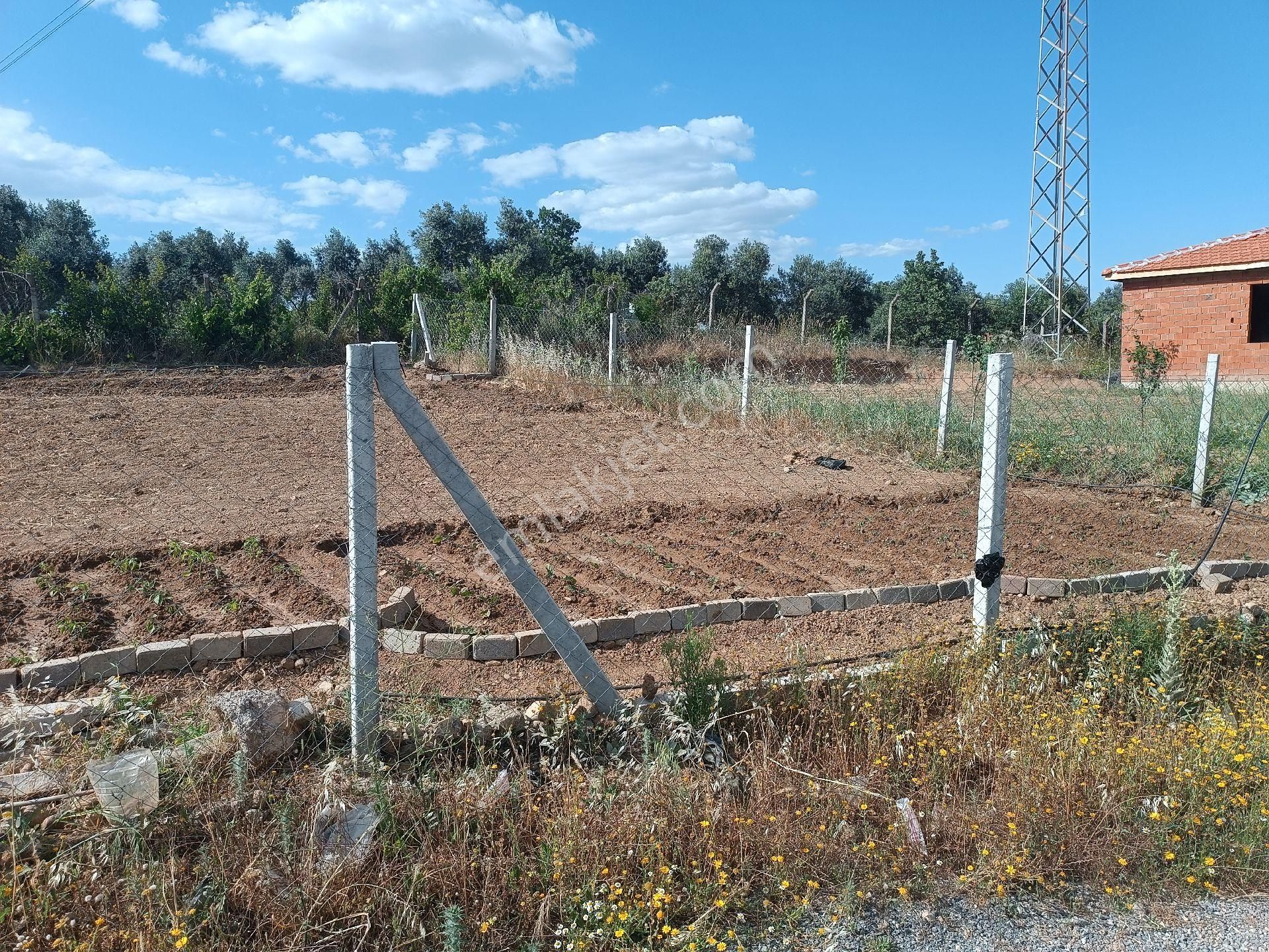 Menderes Dereköy Satılık Bağ & Bahçe Menderes Dereköy İmara Sıfır Köyün Dibinde 