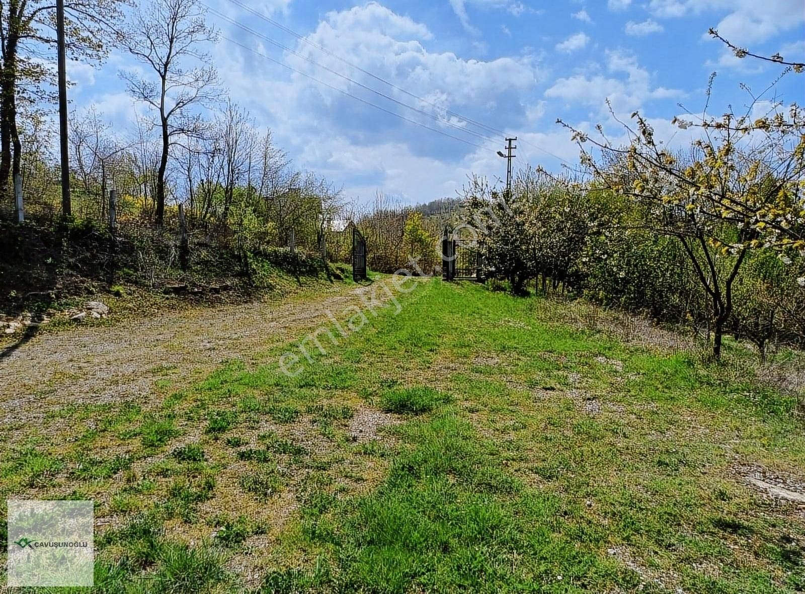 İlkadım Çelikalan Satılık Tarla ÇAVUŞUNOĞLUNDAN İLKADIM ÇELİKALANDA SATILIK ARAZİ 13.800 M²