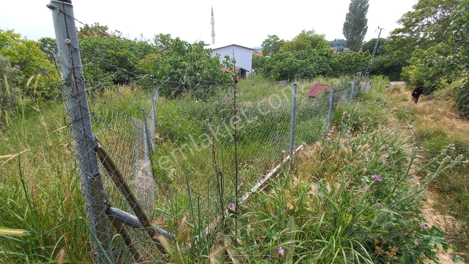 Mudanya İpekyayla Satılık Bağ & Bahçe  KAPİTAL'DEN MUDANYA İPEKYAYLA'DA KÖYİÇİ BAHÇE