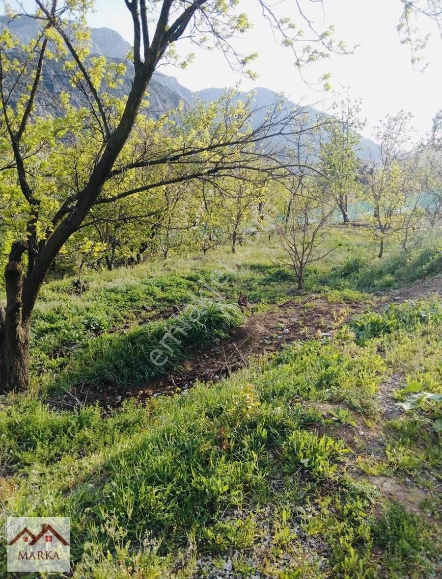 Amasya Merkez Ziyaret Bld. (Yukarı) Satılık Bağ & Bahçe Marka dan mükemmel bir yer!!!!!