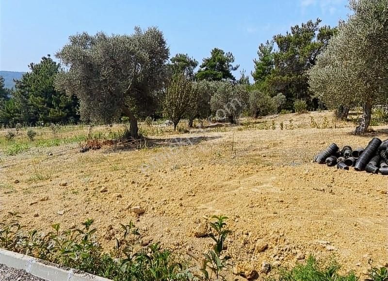 Menderes Çatalca'da Hobi Bahçeleri Meşe Emlak'tan - Görsel 10