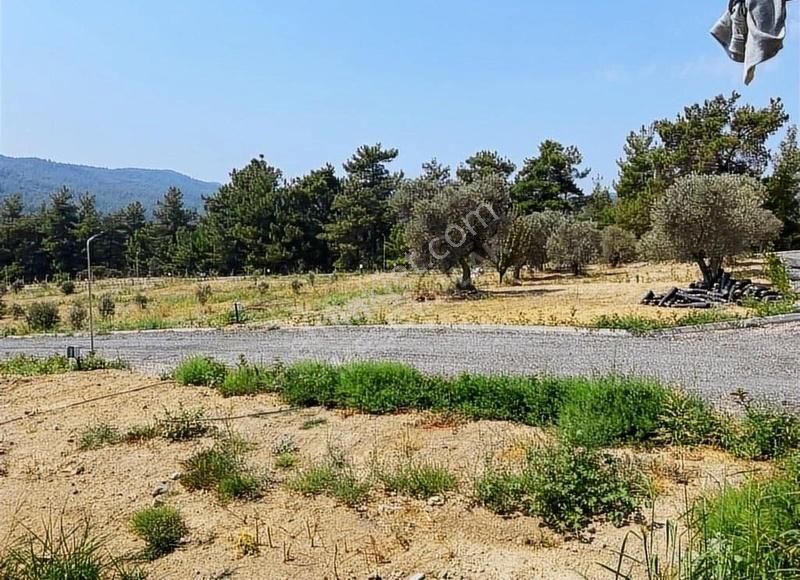 Menderes Çatalca'da Hobi Bahçeleri Meşe Emlak'tan - Görsel 11