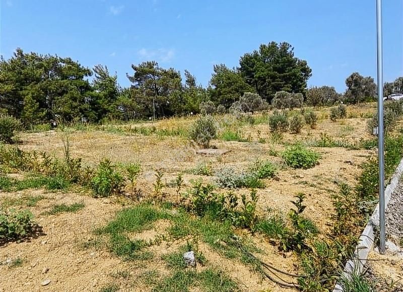 Menderes Çatalca'da Hobi Bahçeleri Meşe Emlak'tan - Görsel 28