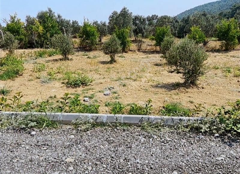 Menderes Çatalca'da Hobi Bahçeleri Meşe Emlak'tan - Görsel 29