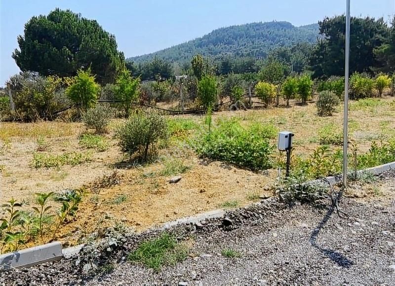 Menderes Çatalca'da Hobi Bahçeleri Meşe Emlak'tan - Görsel 13