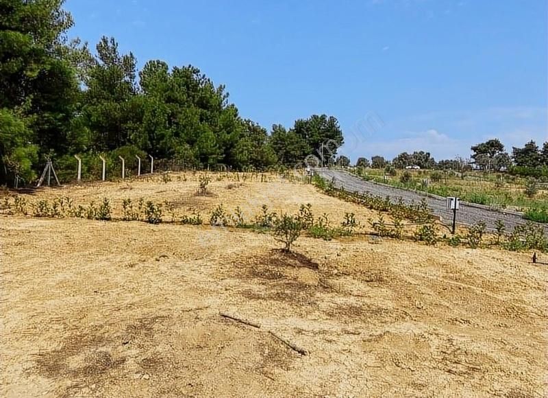 Menderes Çatalca'da Hobi Bahçeleri Meşe Emlak'tan - Görsel 2