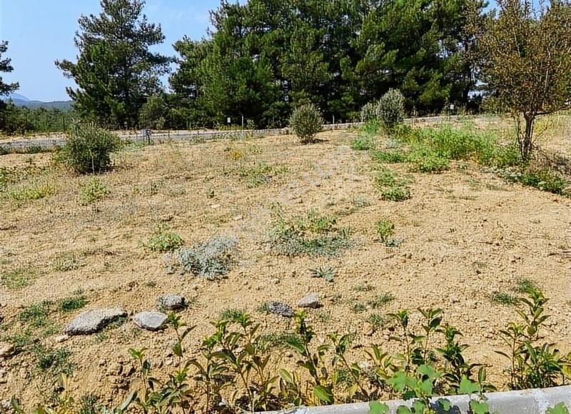 Menderes Çatalca'da Hobi Bahçeleri Meşe Emlak'tan - Görsel 34