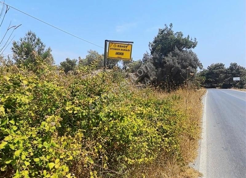 Menderes Çatalca'da Hobi Bahçeleri Meşe Emlak'tan - Görsel 8