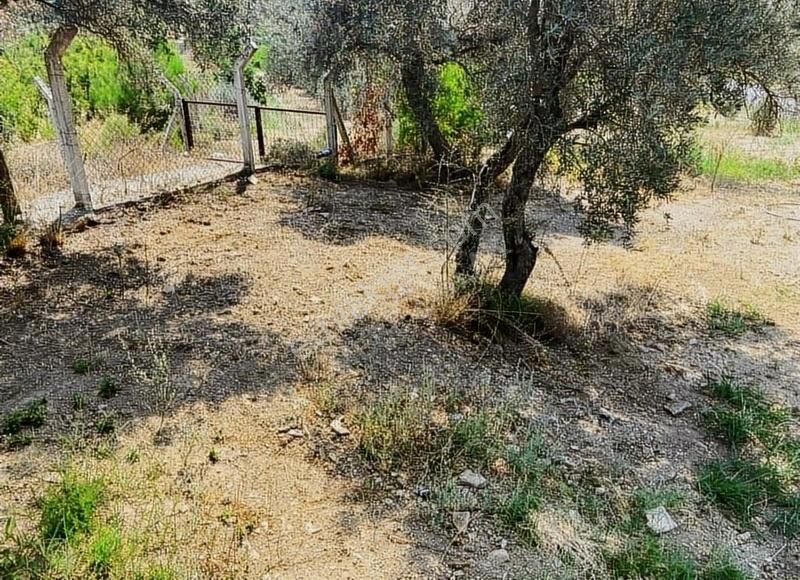 Menderes Çatalca'da Hobi Bahçeleri Meşe Emlak'tan - Görsel 17