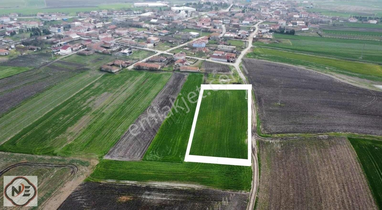 Muratlı Yukarısevindikli Satılık Konut İmarlı TDAĞ MURATLI YUKARISEVİNDİKLİ MAH DE 3.720 M2 ARSA