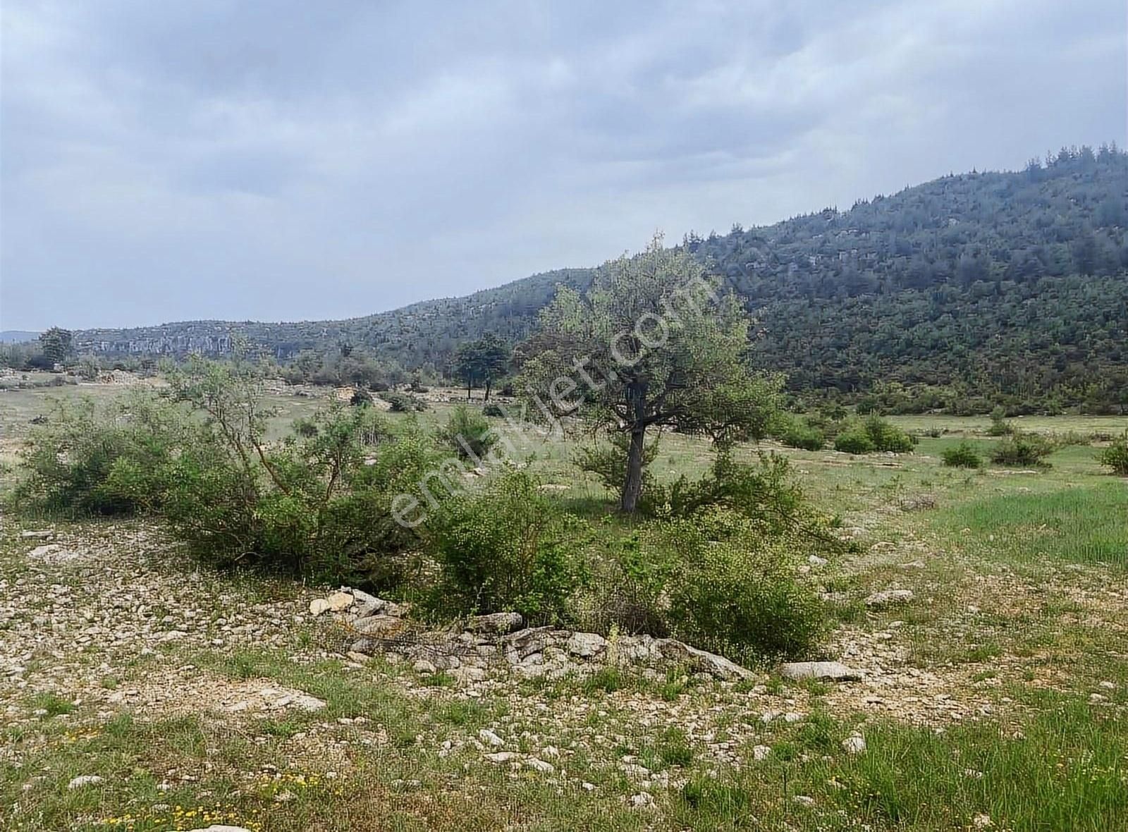 Çamlı Yayla Sarıkavak Civarında Satılık Arsa Tek Tapu - Görsel 4
