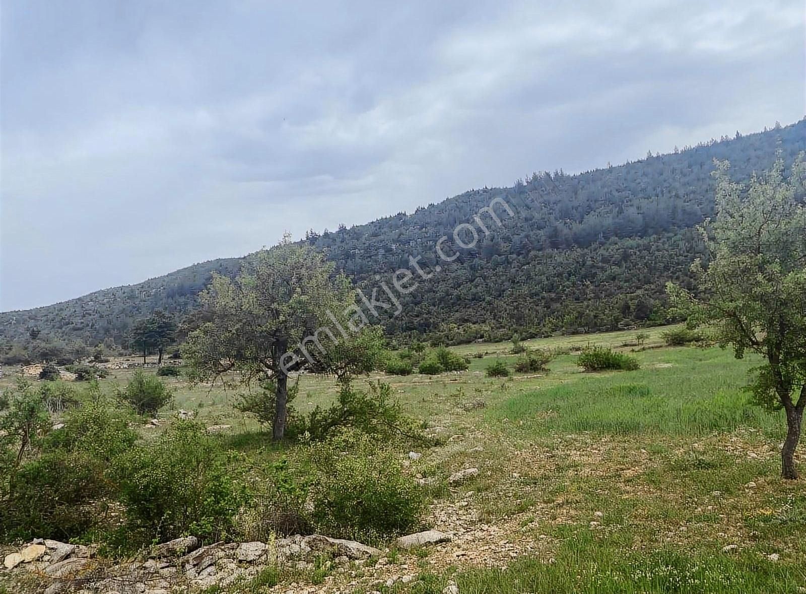 Çamlıyayla Giden Satılık Özel Kullanım Çamlı Yayla Sarıkavak Civarında Satılık Arsa Tek Tapu