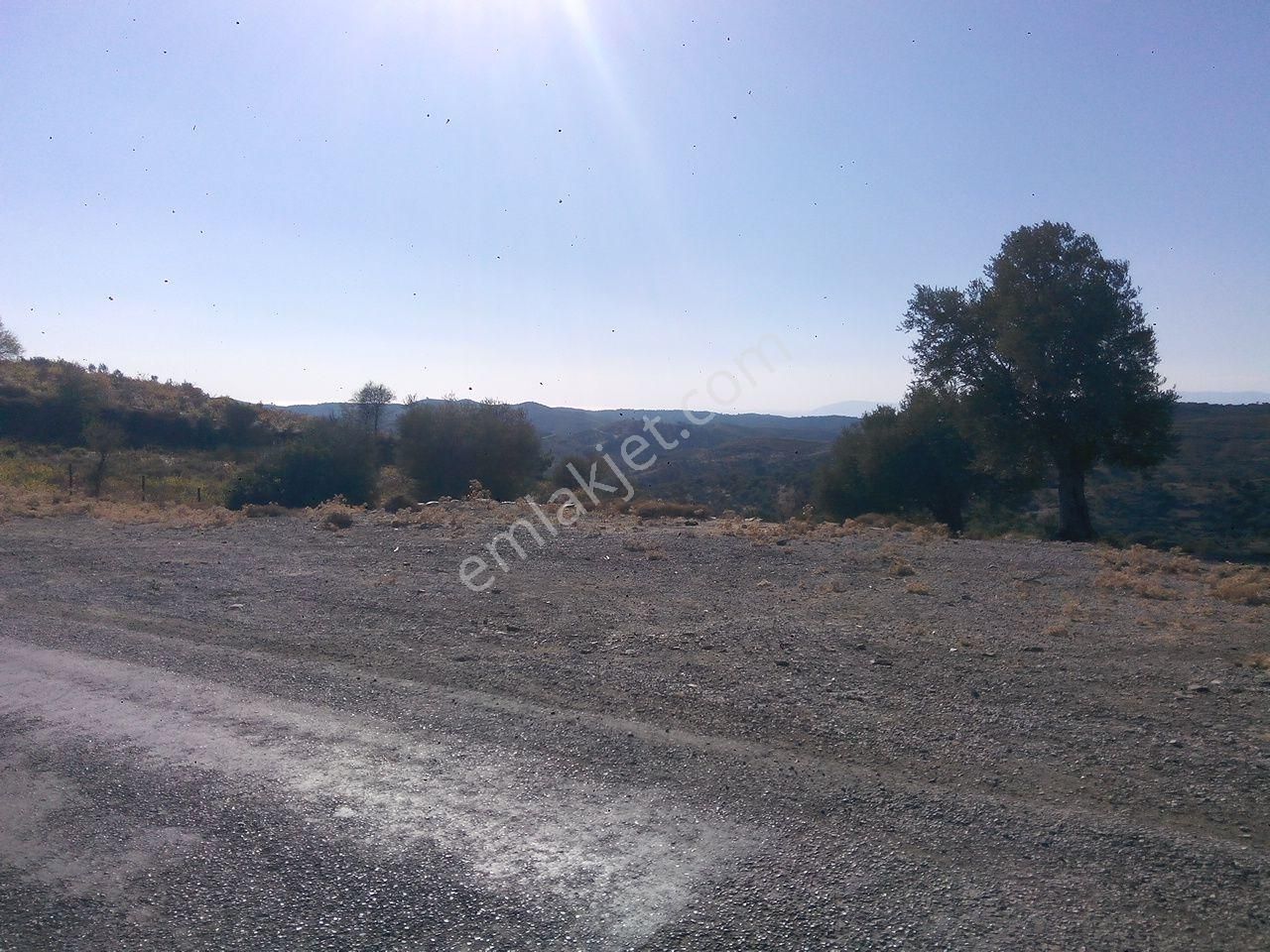 016-köy Kenarında Manzaralı Arazi - Görsel 7