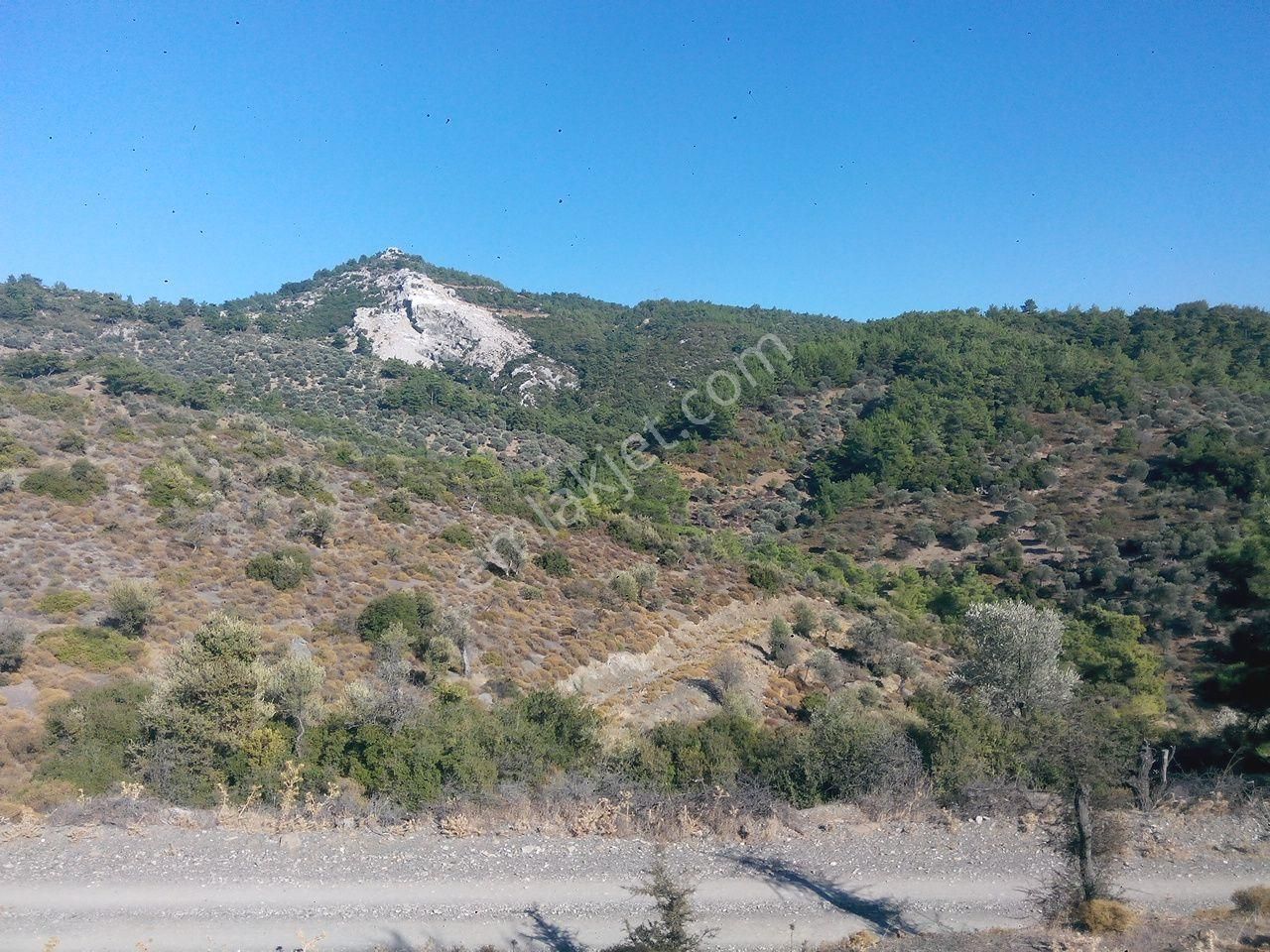 016-köy Kenarında Manzaralı Arazi - Görsel 2