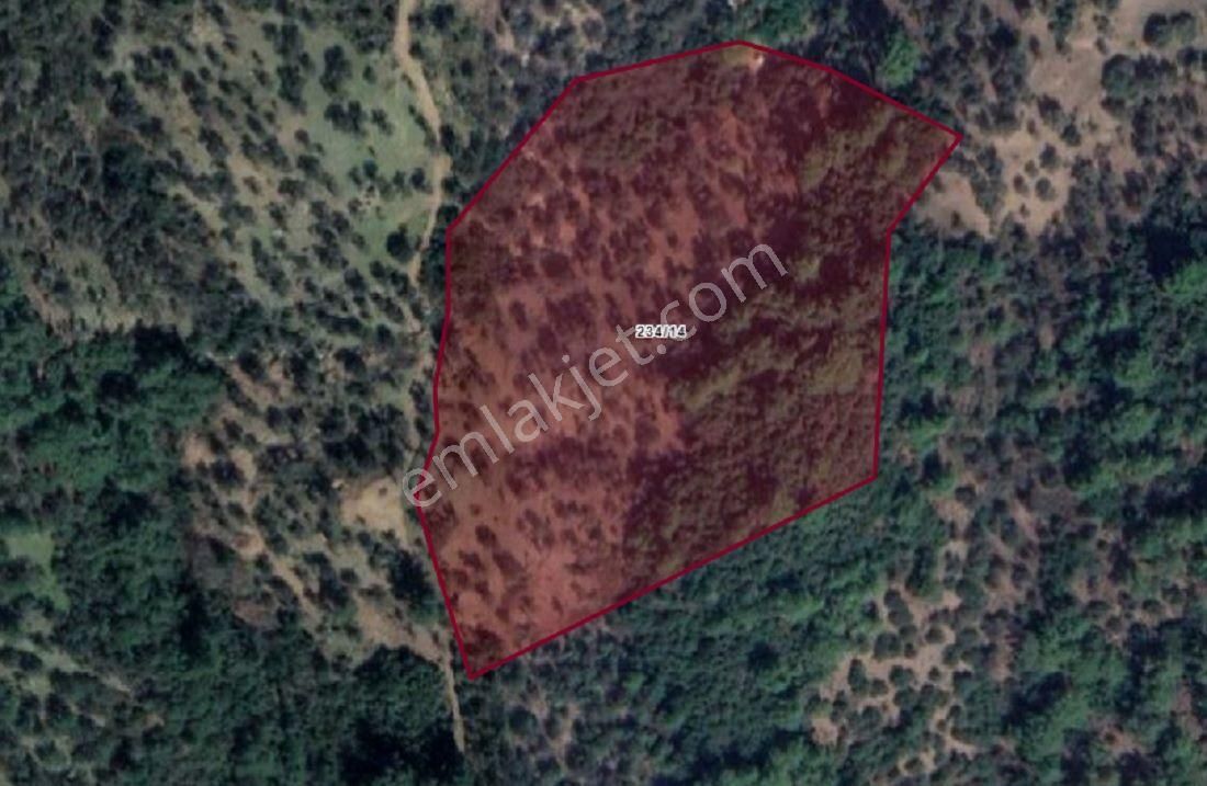 026-yağ Verimi Yüksek Organik Tarım Yapılabilir Zeytinlik - Görsel 12