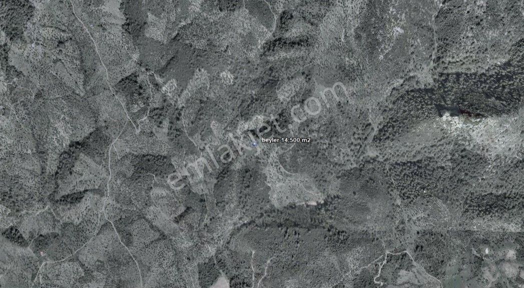 034- Resmi Yola Cepheli Bakımlı Zeytinlik - Görsel 3