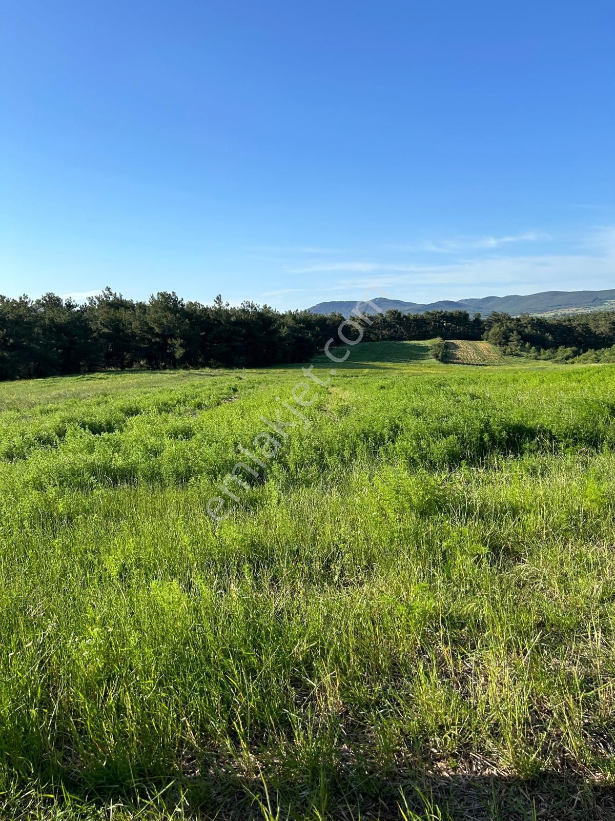 Edirne Merkez İstasyon Satılık Tarla Kirişhane Kumluca Bağlığı Mevkinde 2350 M2 Satılık Tarla