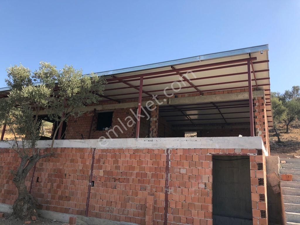 036-deniz Ve Baraj Manzaralı Etrafı Çevrili Zeytinlik - Görsel 8