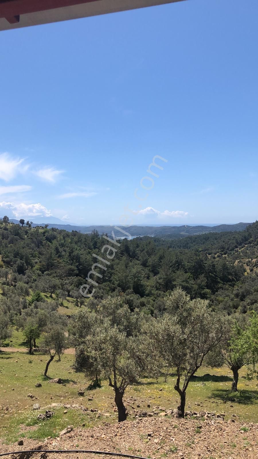 036-deniz Ve Baraj Manzaralı Etrafı Çevrili Zeytinlik - Görsel 7