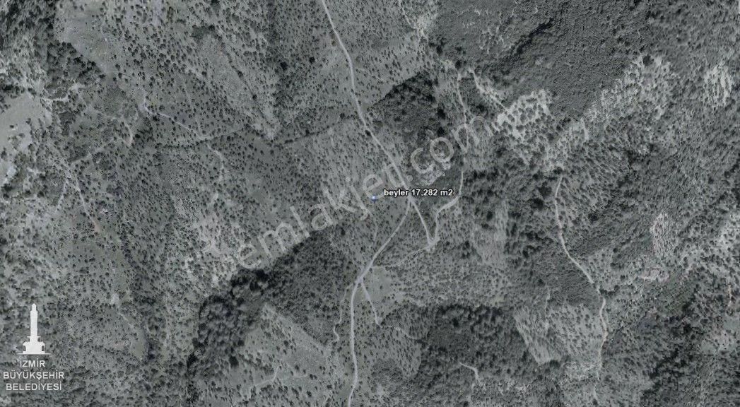 036-deniz Ve Baraj Manzaralı Etrafı Çevrili Zeytinlik - Görsel 15