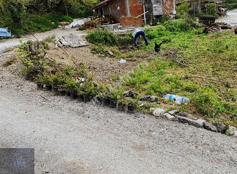 Kandıra Yakın Kanatlar Köyün İçi %40 İmarli 86m2 Hemen Ev Yap - Görsel 2