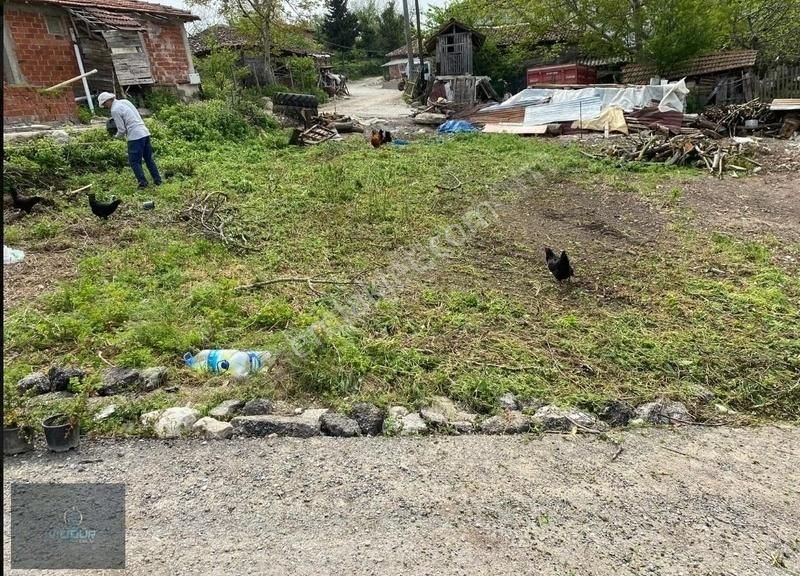 Kandıra Yakın Kanatlar Köyün İçi %40 İmarli 86m2 Hemen Ev Yap - Görsel 21