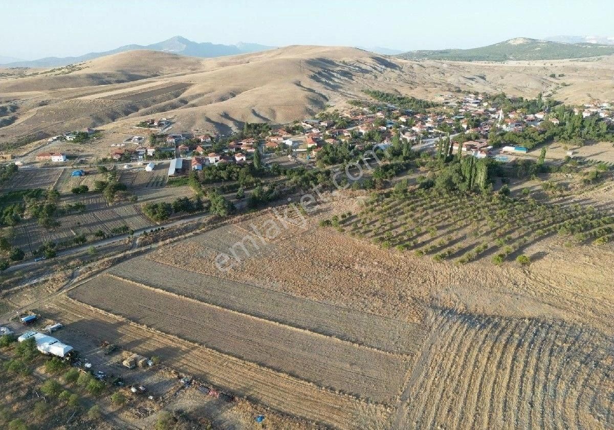 Yeşilova Kavak Köyü Satılık Bağ & Bahçe Burdur Yeşilova Satılık Arsa