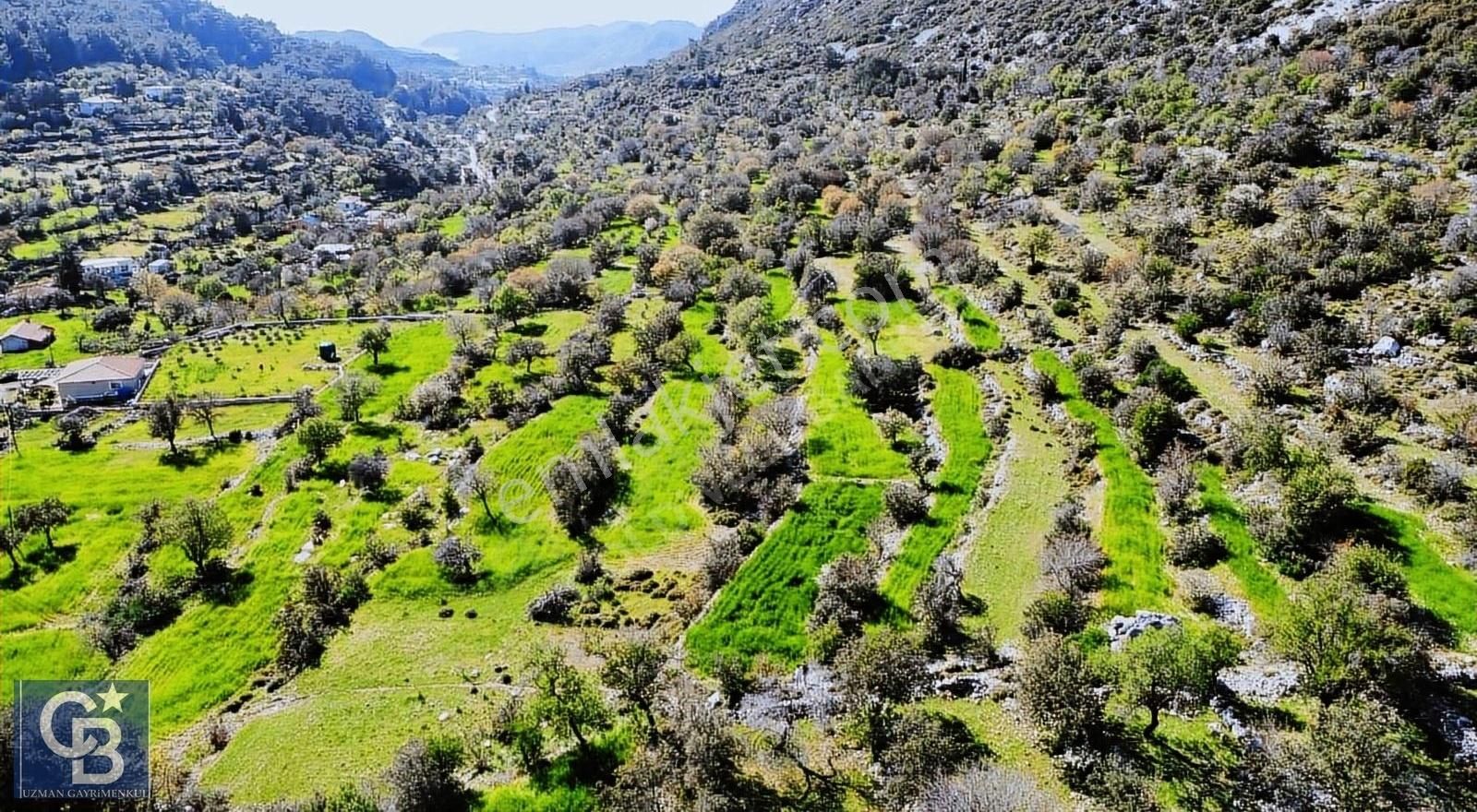 Marmaris Söğüt Satılık Tarla COLDWELL BAKER UZMAN'DAN SÖĞÜT DENİZ MANZARALI ARAZİ