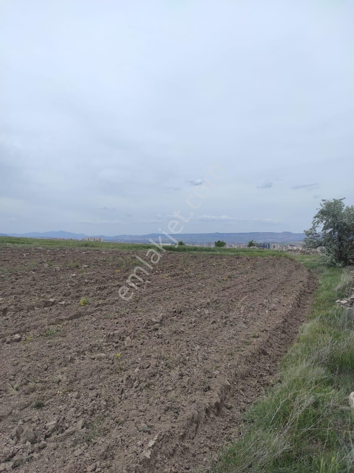 Melikgazi Kayabağ Satılık Bağ & Bahçe Gesi  Belageside Satılık Bağ 3100 m2 Mükemmel konum