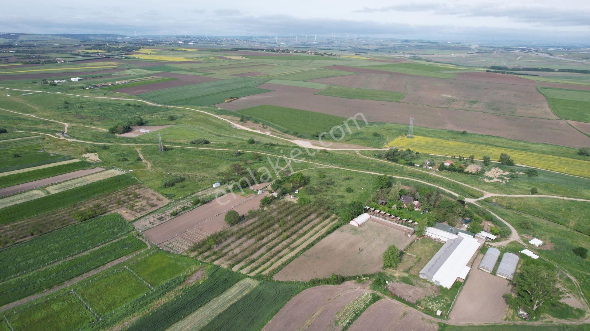 Silivri Yolçatı Satılık Tarla Silivri Yolçatıda 270 Ağaçlı 7276 M2 Müstakil Cevizlik