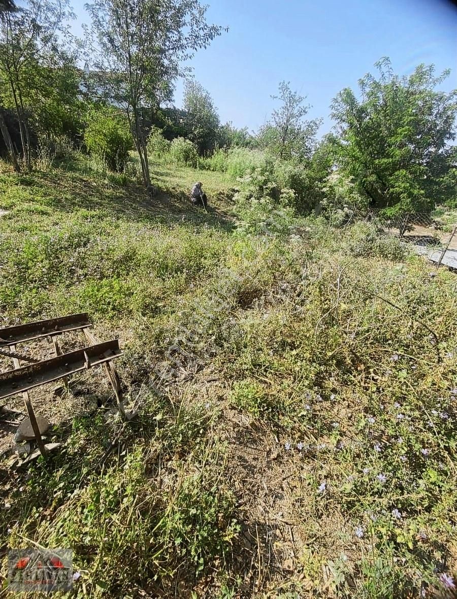 Bayındır Pınarlı Satılık Tarla Pehlivan Gayrımenkul'den Köy İçi Arsa