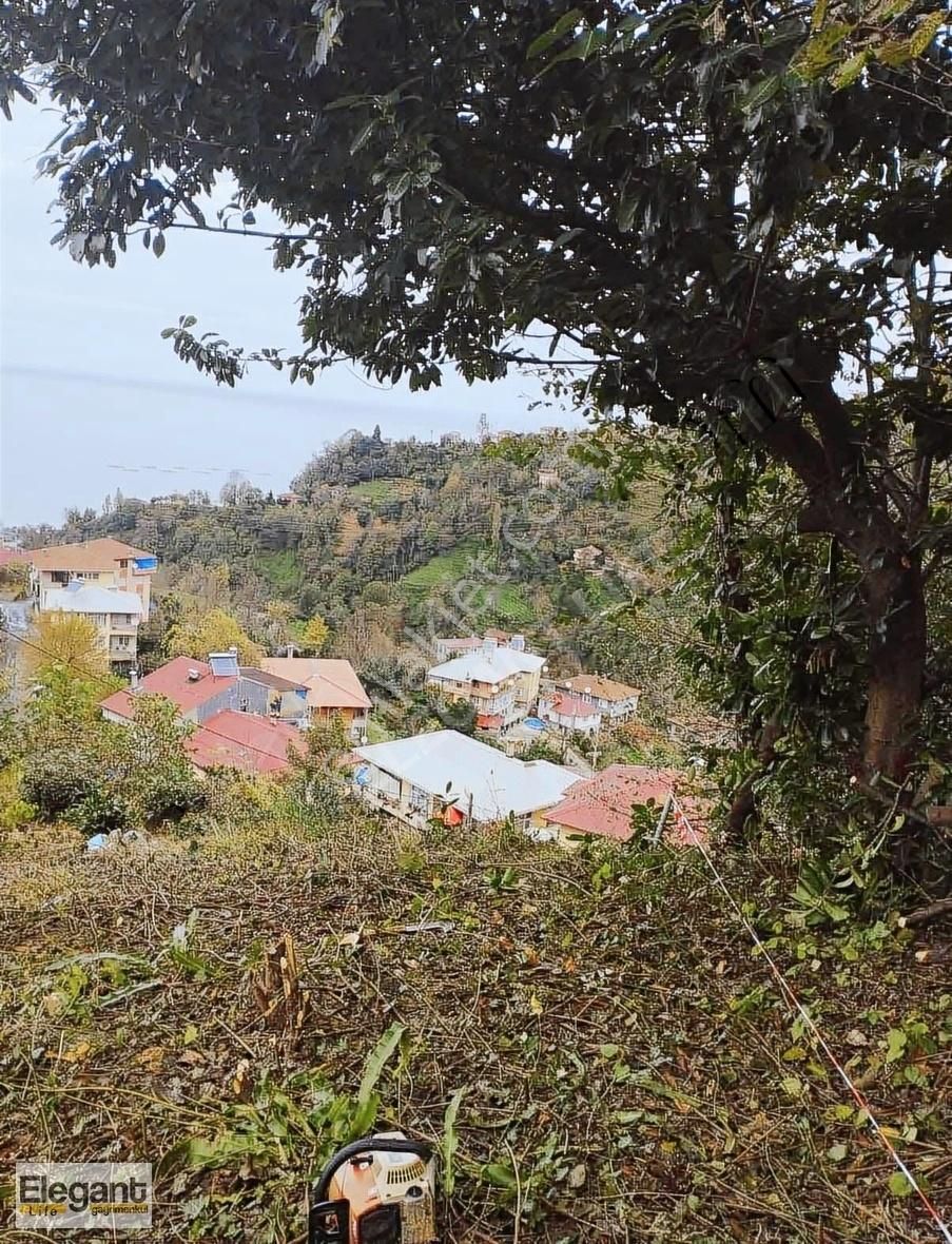 Rize Merkez Yenikale Köyü (Düz) Satılık Bağ & Bahçe ELEGANT LİFE'DAN VİLLALIK YATIRIMLIK ARSA