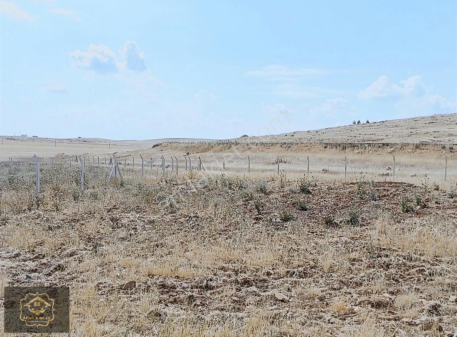 Nusaybin Çağlar Satılık Tarla ACAR EMLAKTAN ÇAĞLAR MAH ETRAFI TELÖRGÜ İLE SARILI 4214M2 ARSA