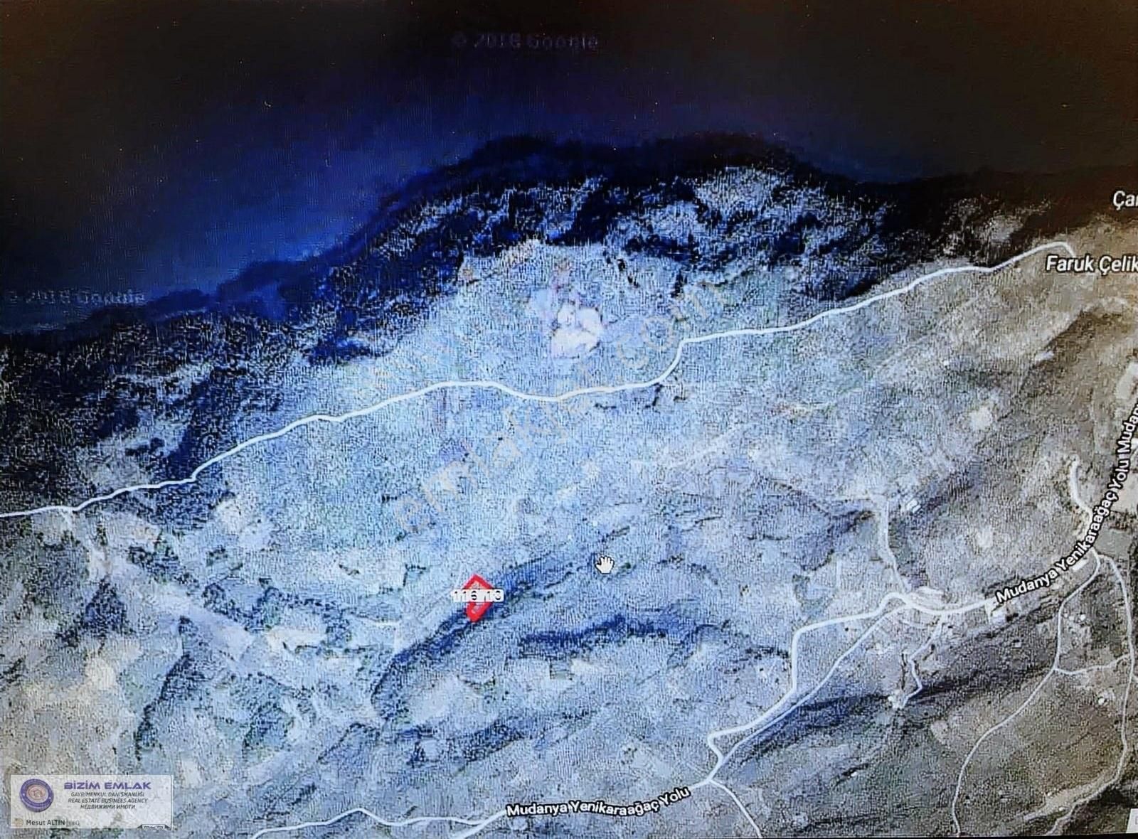 Bizim Emlak Tan Halilbey De Yatırımlık Zeytinlik - Görsel 2