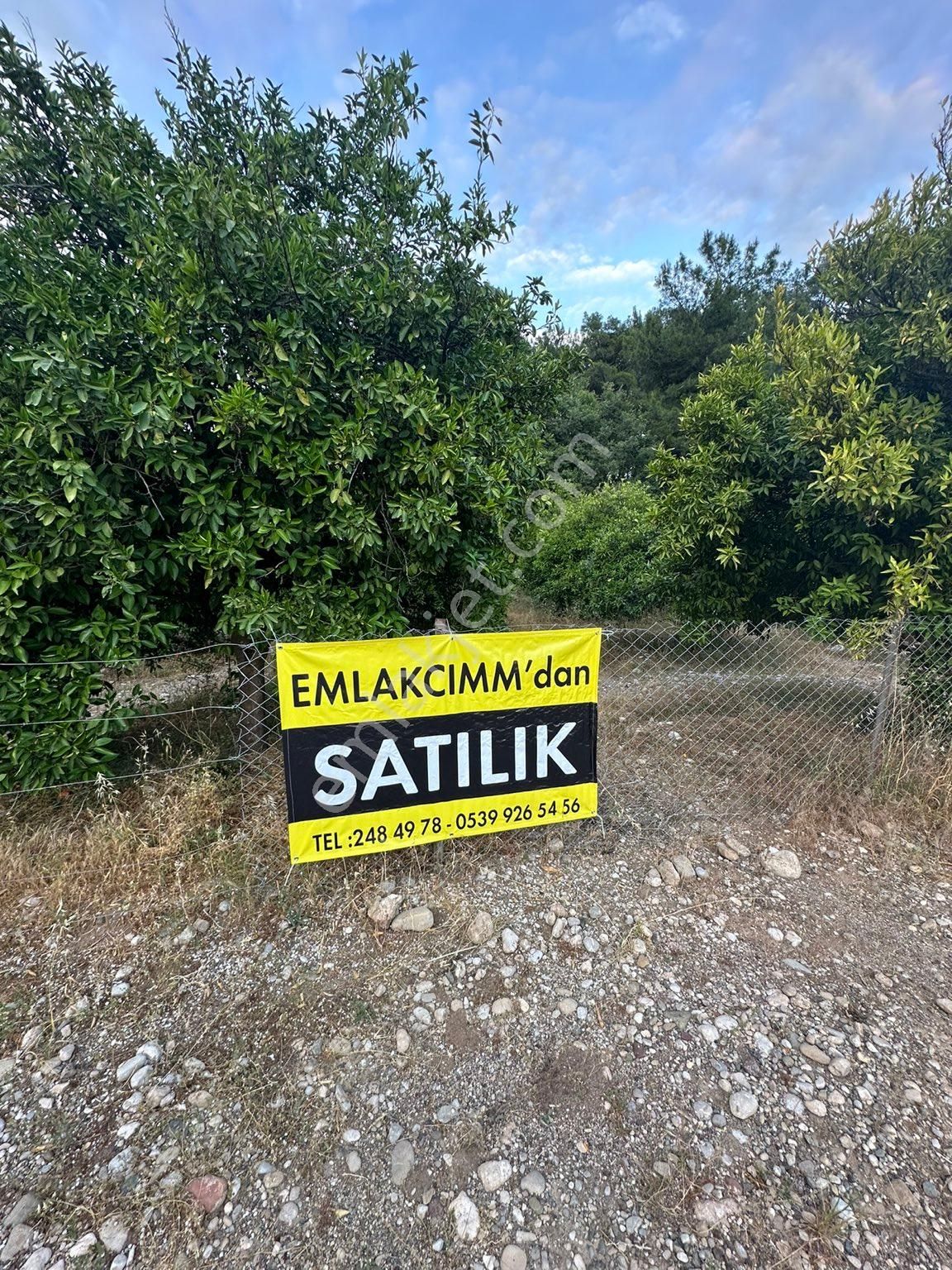 Konyaaltı Aşağıkaraman Satılık Bağ & Bahçe ANTALYA AŞAĞIKARAMAN’DA SÜPER KONUMDA MEYVE BAHÇELİ SATILIK ARSA